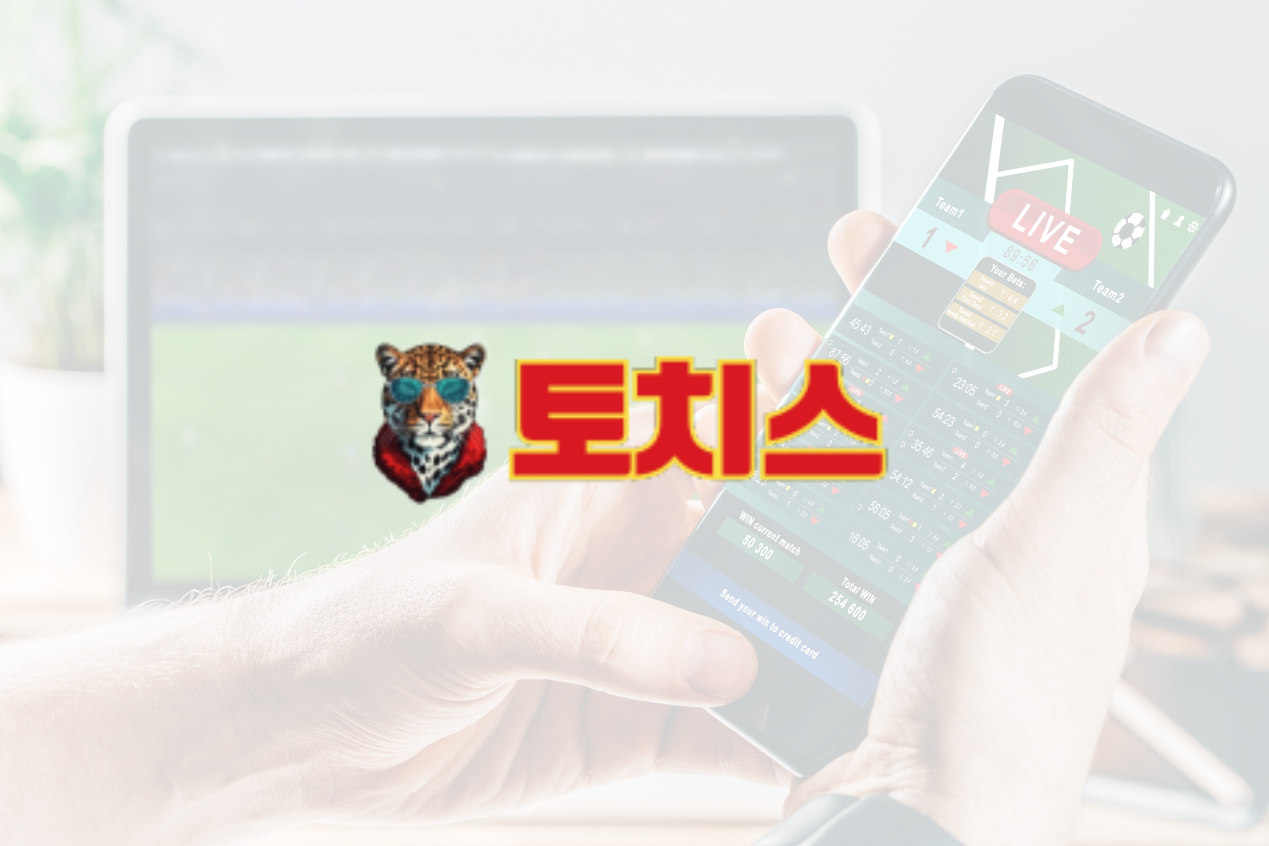 Bet Assurance Safari: 안전한 내기를 위한 검증된 스포츠 베팅 플랫폼을 통한 여행